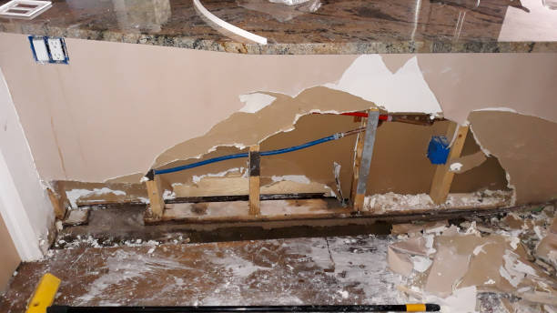 Best Basement water damage restoration  in Eastport, NY