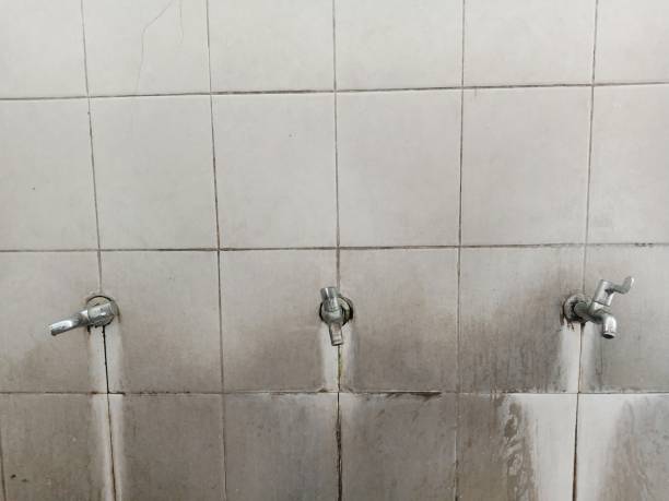 Best Emergency water damage restoration  in Eastport, NY