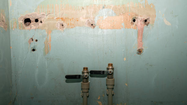 Trusted NY Water damage restoration Experts
